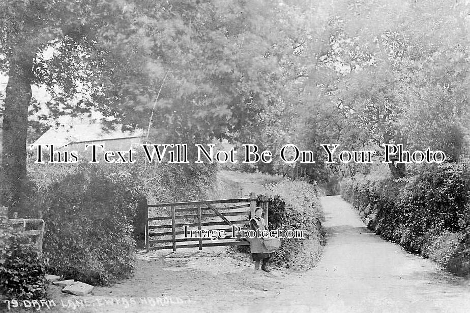 HR 274 - Dark Lane, Ewyas Harold, Herefordshire c1906