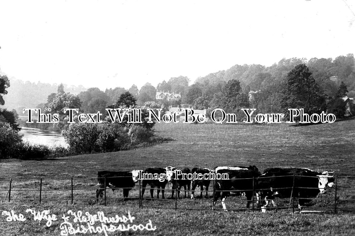 HR 336 - Hazelhurst & Cattle, Bishopswood, Herefordshire