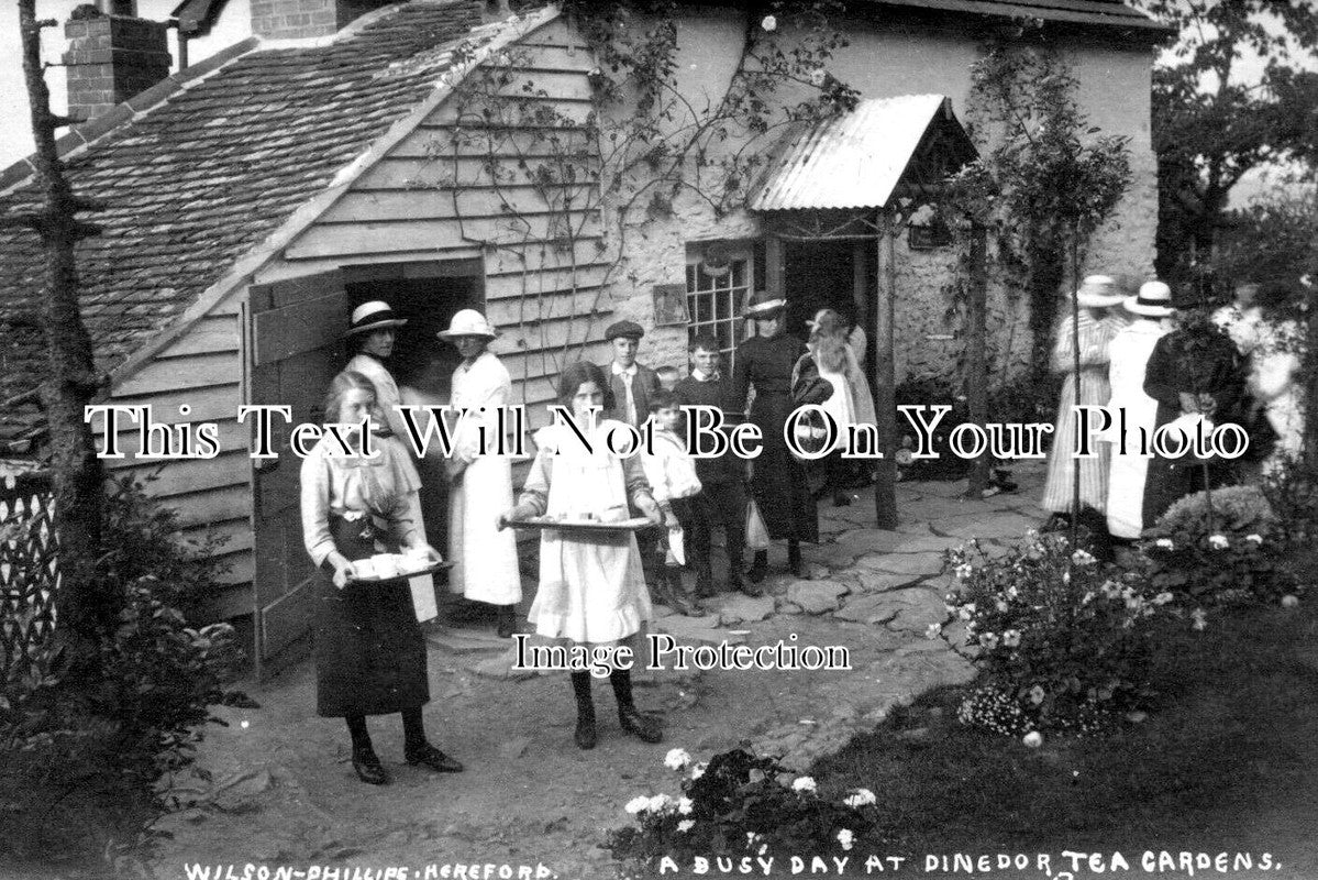 HR 608 - Dinedor Tea Gardens, Hereford, Herefordshire c1918