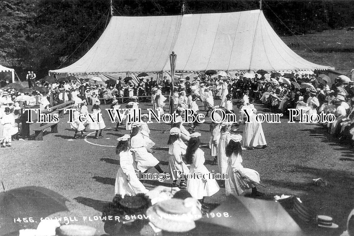HR 704 - Colwall Flower Show, Herefordshire 1908
