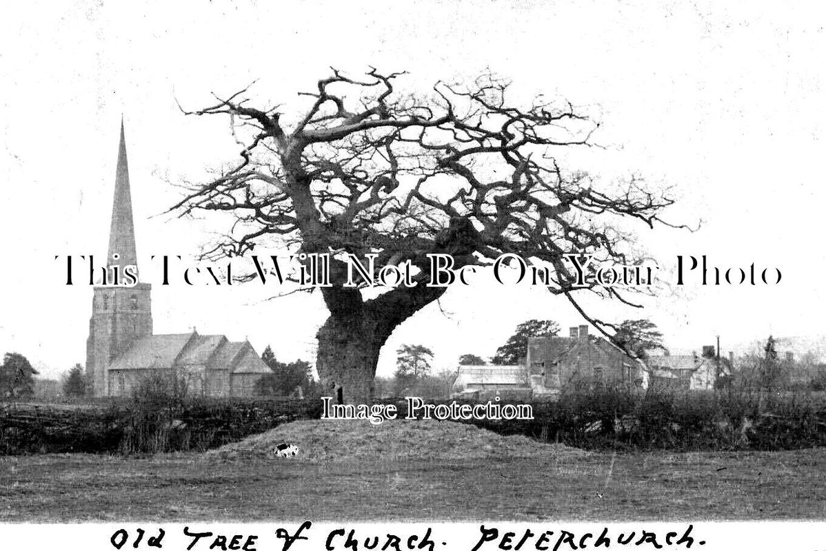 HR 794 - Old Tree & Church, Peterchurch, Herefordshire