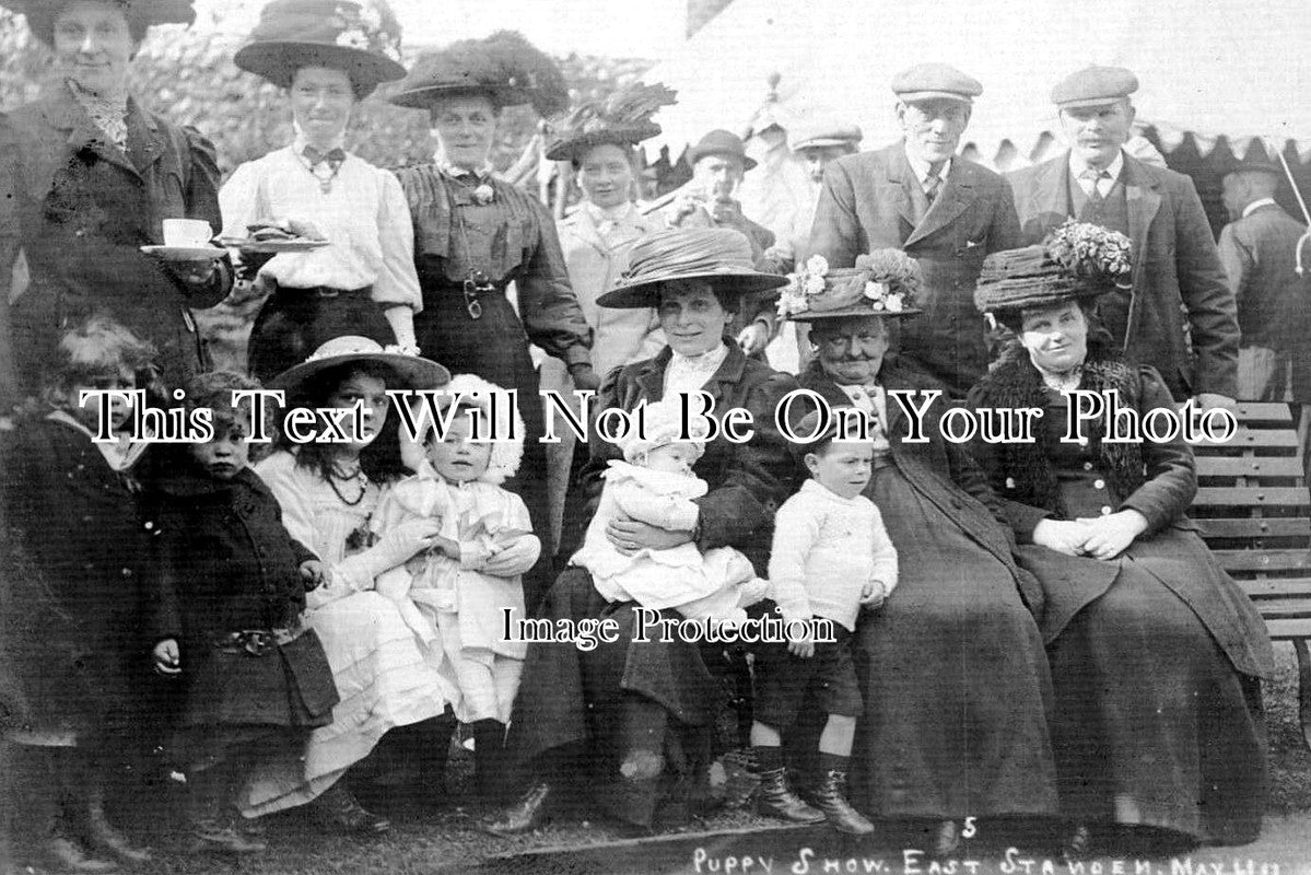 IO 1242 - Puppy Show, East Standen Near Newport, Isle Of Wight