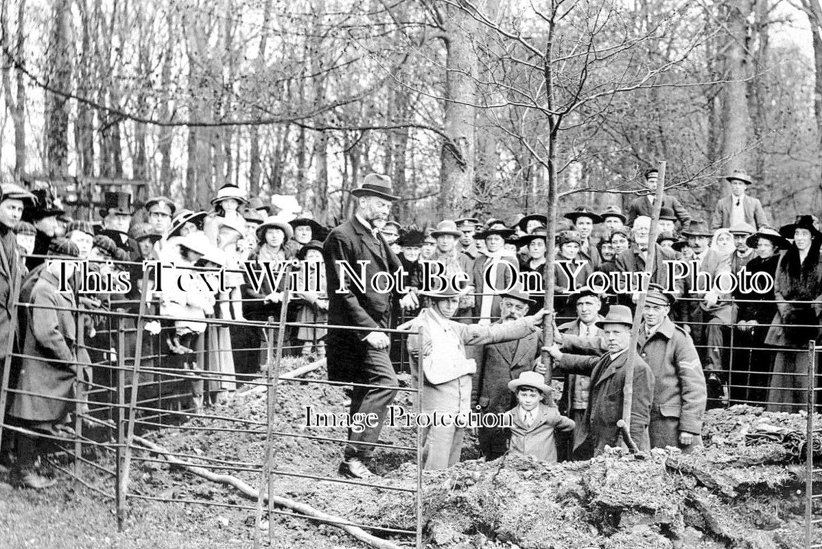 KE 1993 - Powell Cotton Planting A Tree After Christening, Birchington, Kent 1918