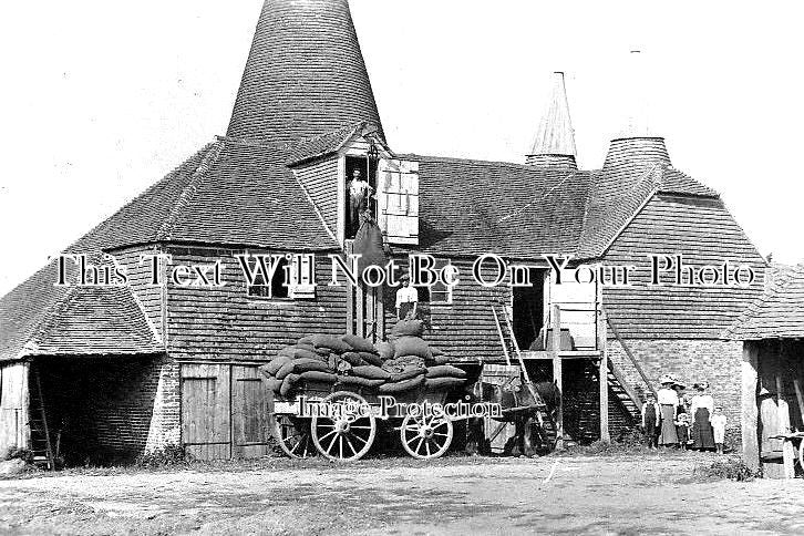 KE 2041 - Hop Picking & Oast House, Kent