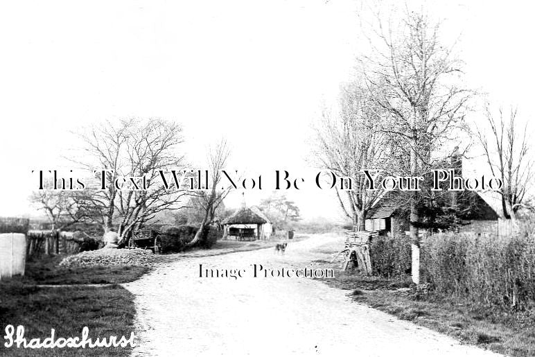 KE 2271 - Shadoxhurst, Kent