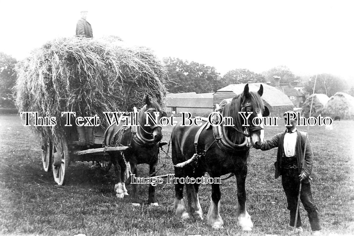 KE 2554 - Horses With Haycart, Street Farm, Ulcombe, Kent
