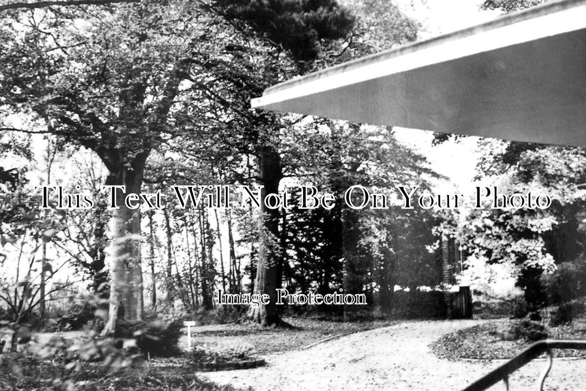 KE 2770 - The Drive To Withersdane Wye College, Kent