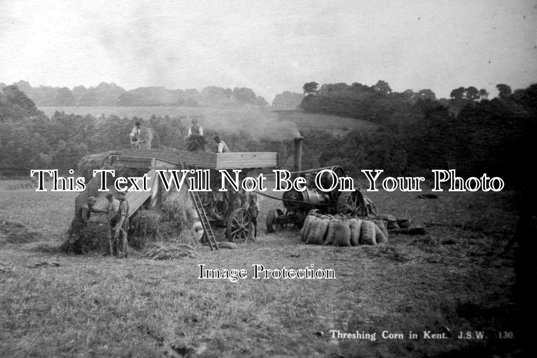 KE 353 - Threshing Corn, Maidstone Area, Kent c1916