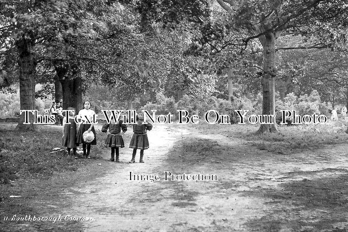 KE 3675 - Southborough Common, Tunbridge Wells, Kent c1911