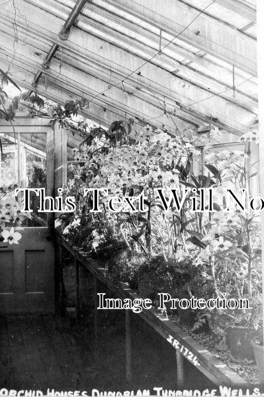 KE 4272 - Orchid Houses, Dunorlan, Tunbridge, Kent