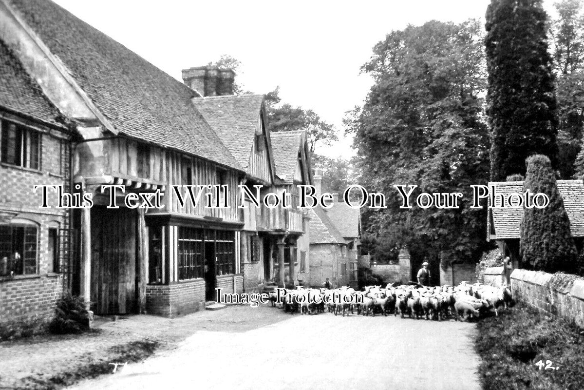 KE 4454 - Chiddingstone, Kent