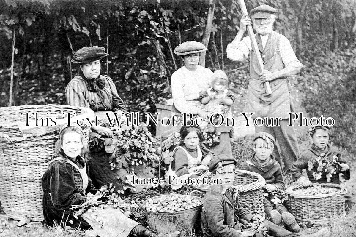 KE 5440 - Hop Pickers, Kent c1907