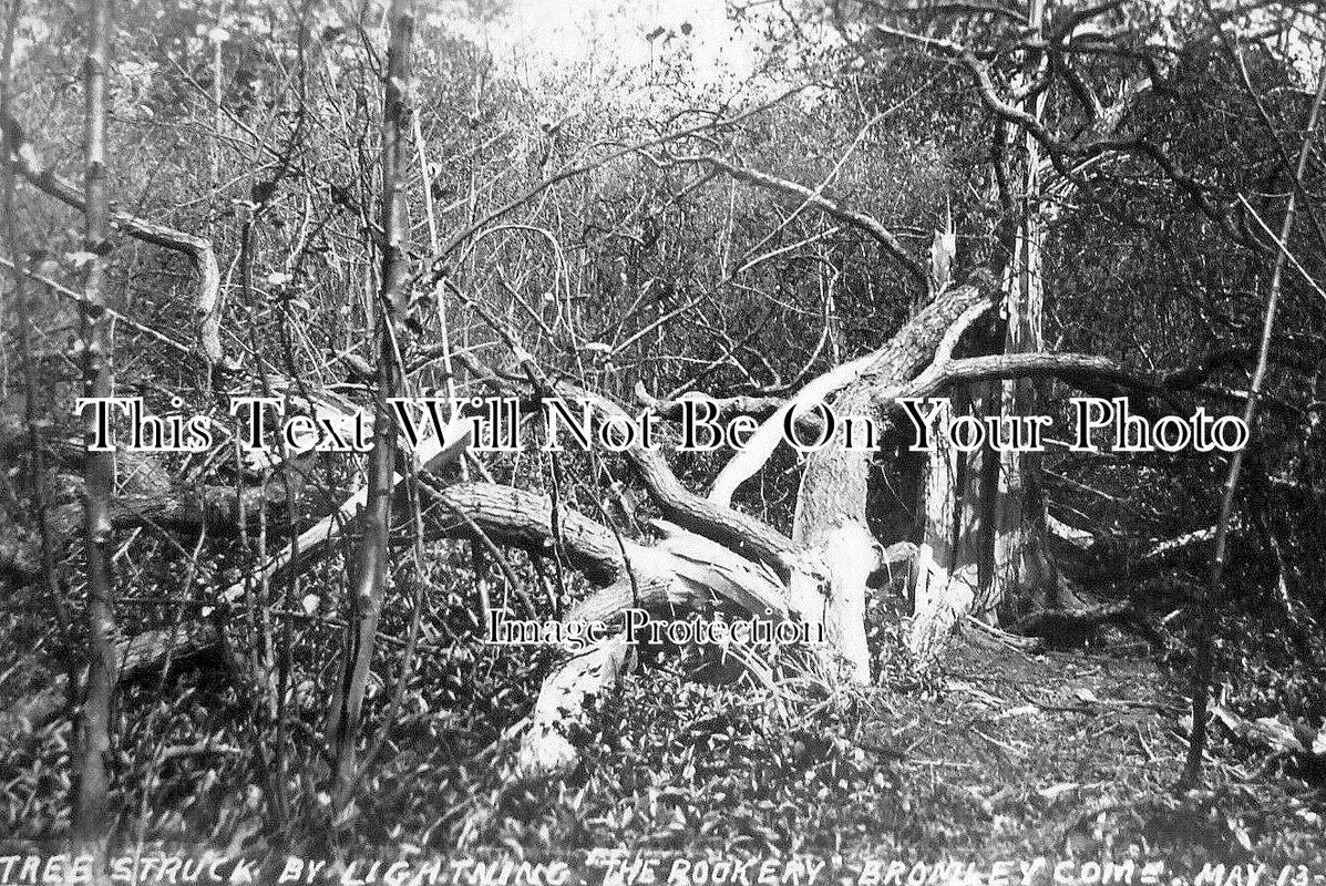 KE 5916 - Tree Struck By Lightning, The Rookery, Bromley, Kent 1908