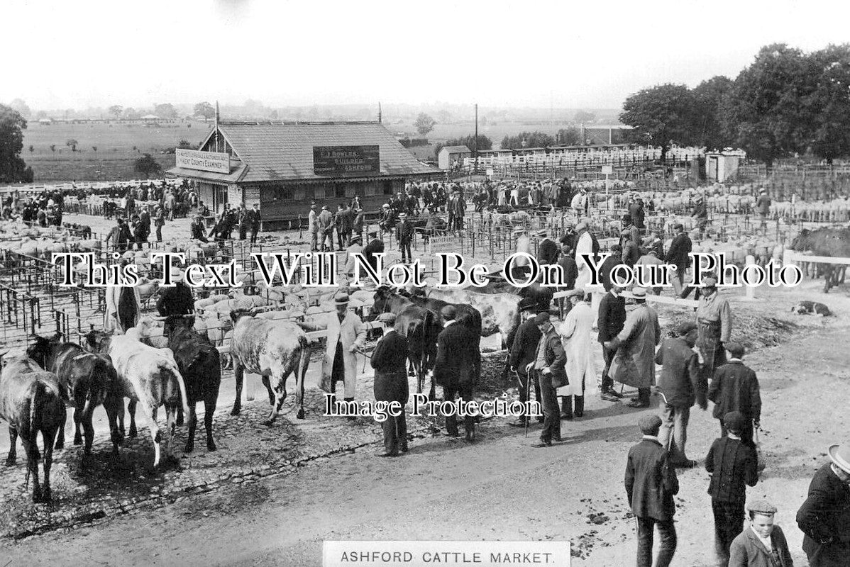 KE 6056 - Ashford Cattle Market, Kent