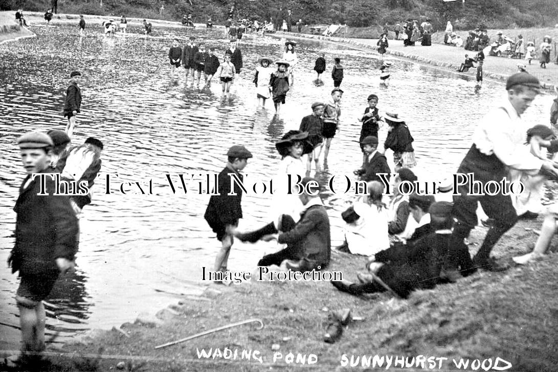 LA 2666 - Wading Pond, Sunnyhurst Wood, Blackburn, Lancashire