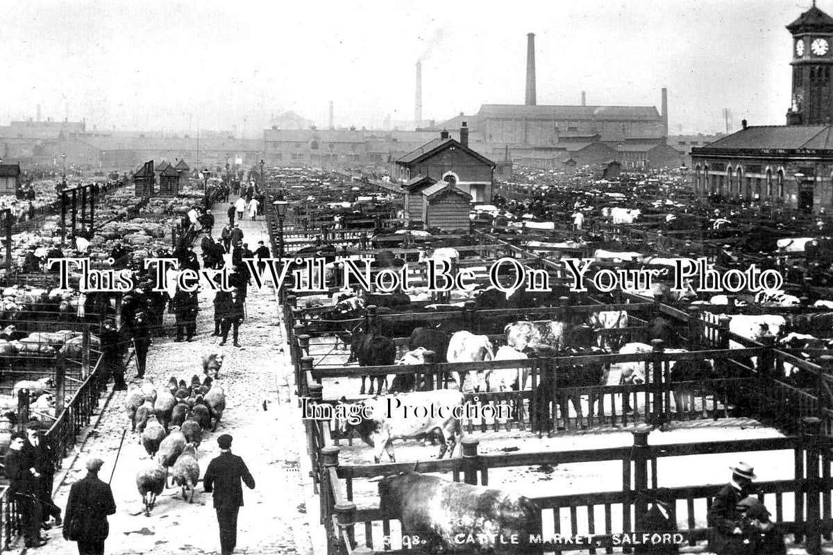 LA 5560 - Salford Cattle Market, Manchester, Lancashire