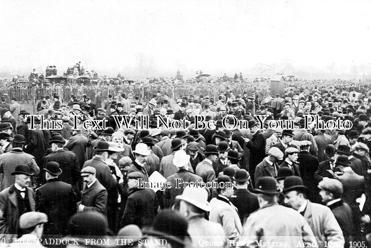 LC 1408 - The Paddock From The Stand, Quorn Hunt Meet, Leicestershire 1905