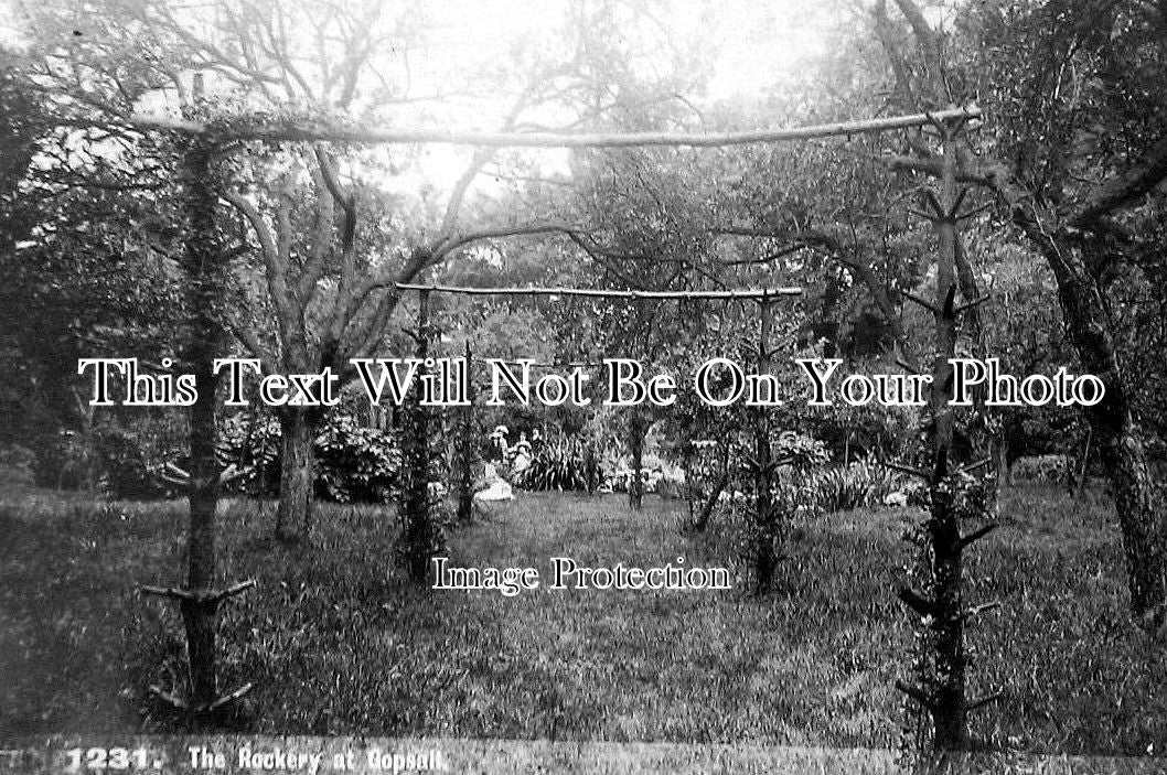 LC 231 - The Rockery At Gopsall, Hinckley, Leicestershire c1905