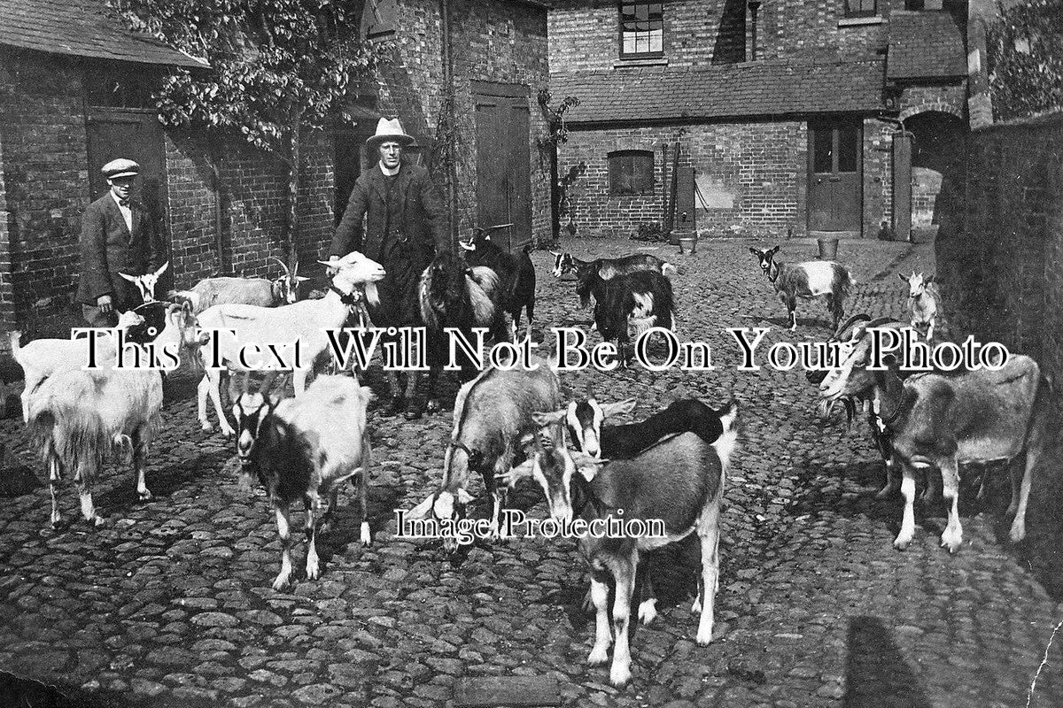 LC 241 - Vicar & Goats, Ashby Parva, Lutterworth, Leicestershire