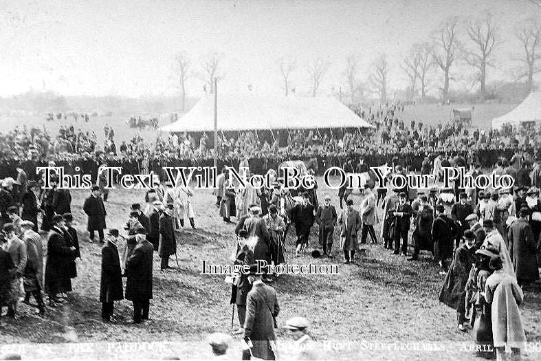 LC 243 - In The Paddock, Melton Hunt Steeplechase, Leicestershire