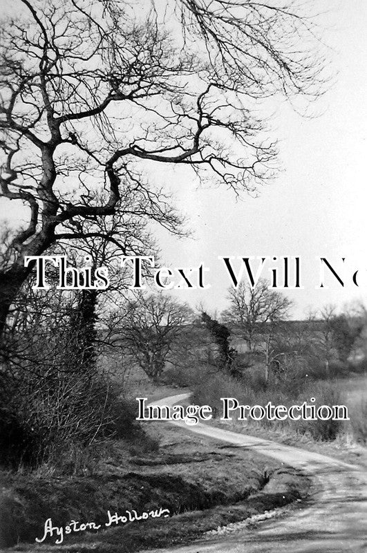 LC 279 - Ayston Hollows, Ayston, Leicestershire