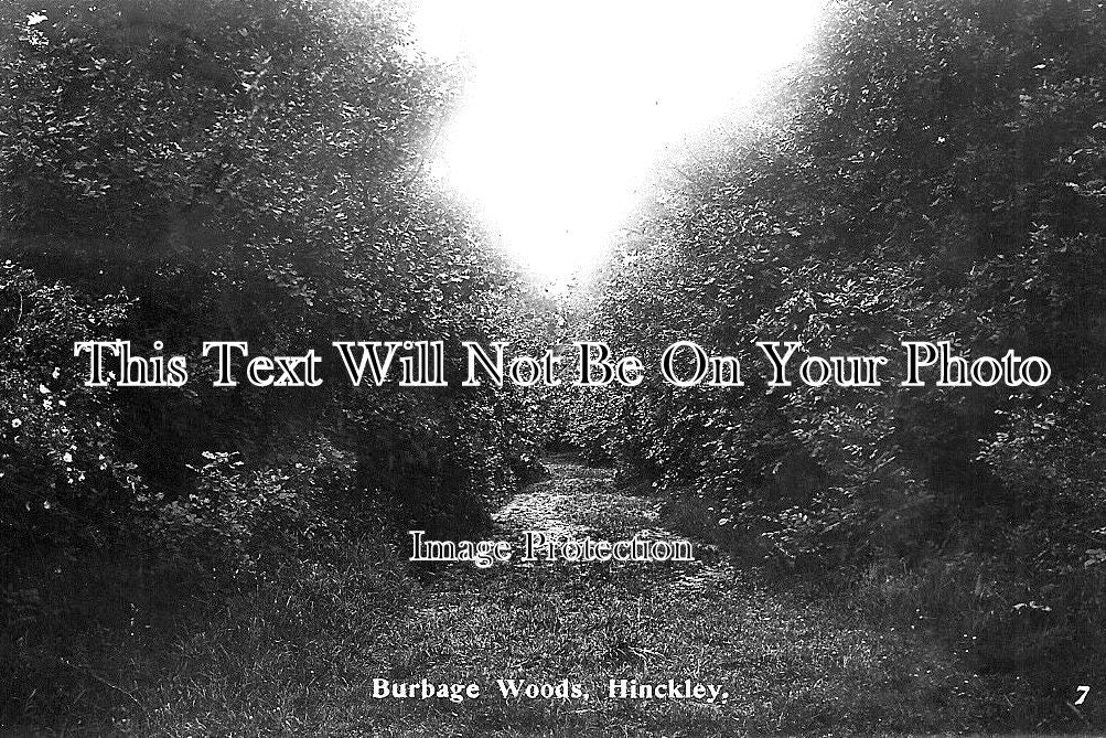 LC 781 - Burbage Woods, Hinckley, Leicestershire c1915