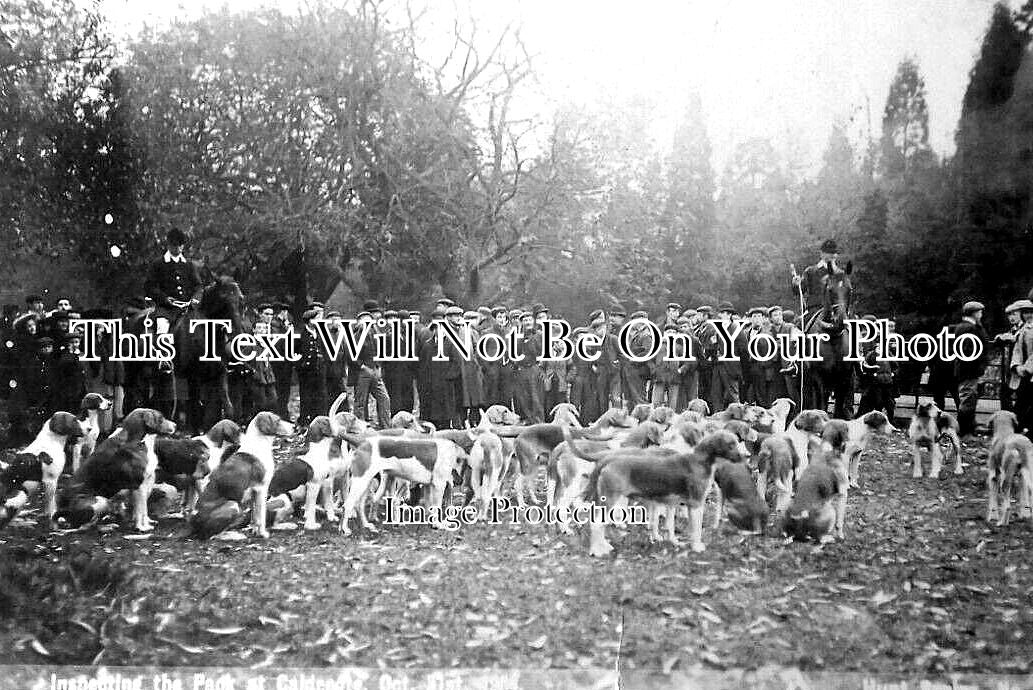 LC 978 - Atherstone Foxhounds, Caldecote, Market Bosworth 1904