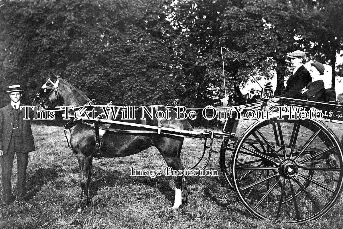 LI 1512 - Daniel Wells Saddler, Deeping St James, Lincolnshire c1909