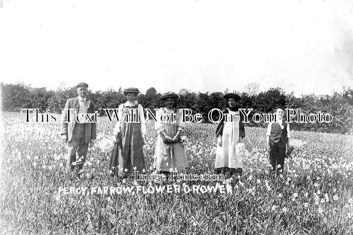 LI 2357 - Percy Farrow Flower Grower, Holbeach Drove, Lincolnshire c1911