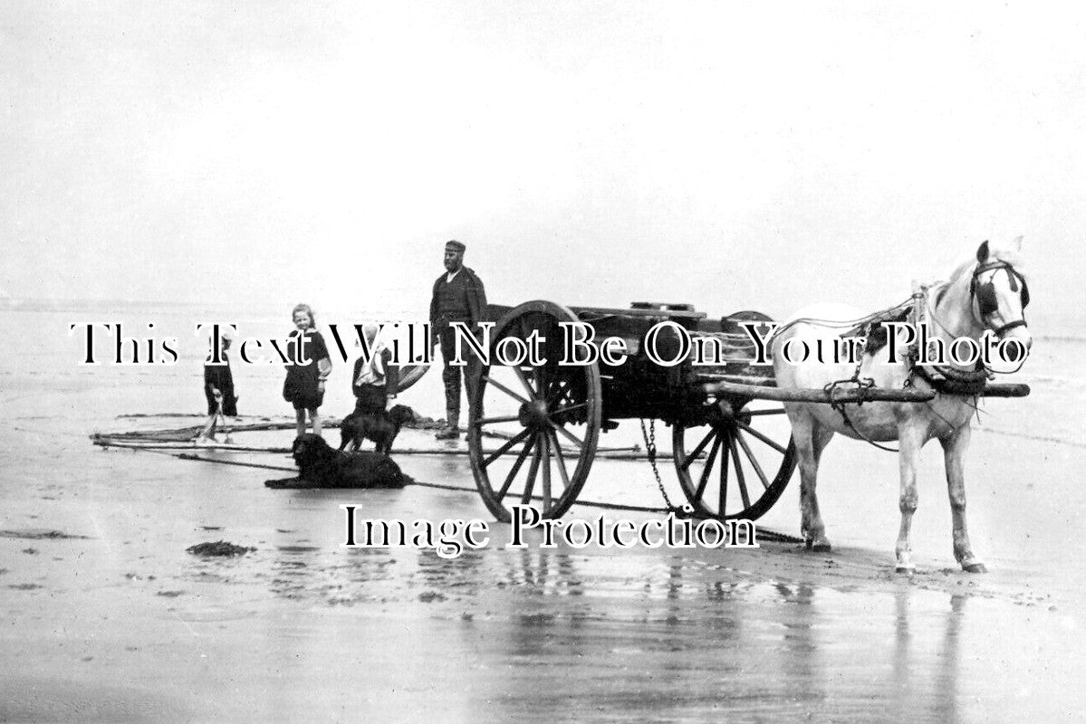 LI 3609 - Shrimping At Chapel St Leonards, Lincolnshire