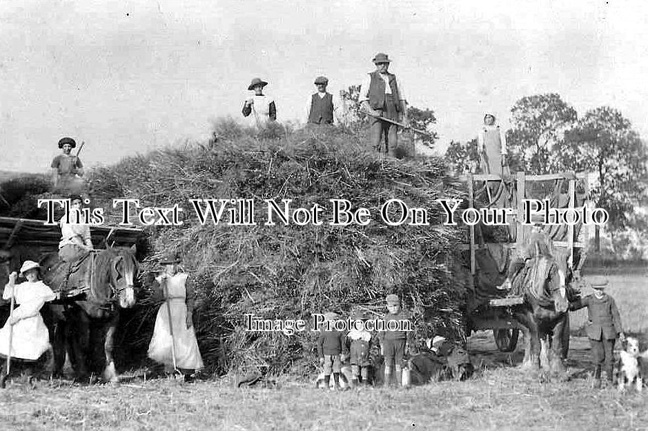 LI 454 - N Wilson Haymaking, Bridge End, Horbling, Lincolnshire