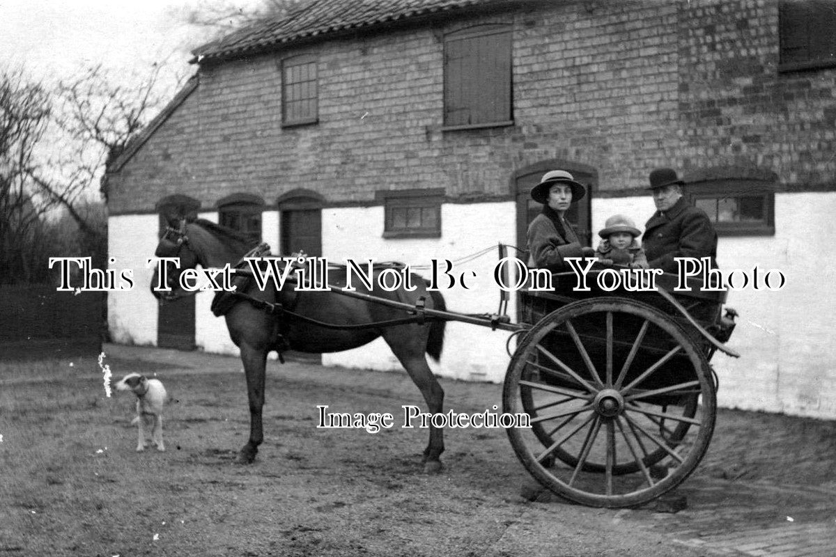 LI 653 - Pony & Trap, Tattershall & Coningsby Area, Lincolnshire