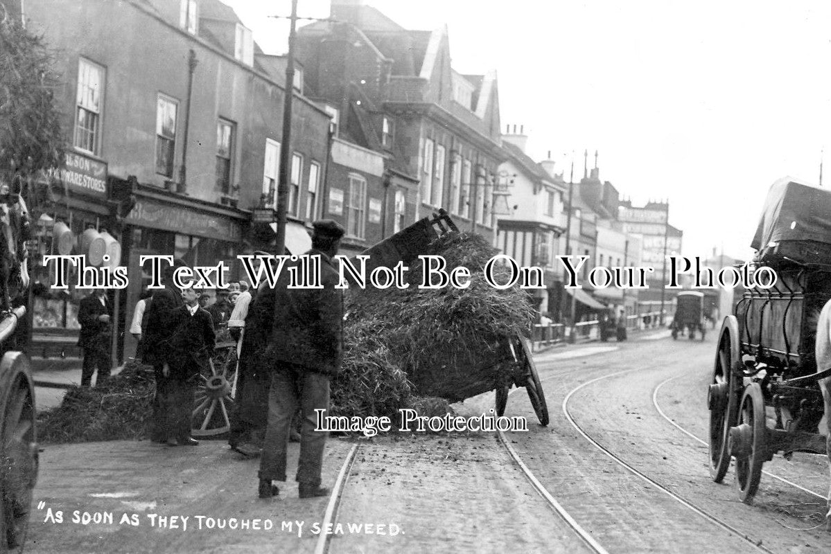 LO 1518 - Seaweed Cart, Wakefield, London c1907
