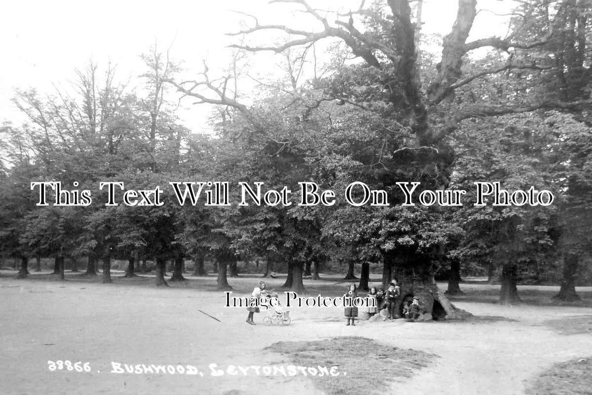 LO 2091 - Bushwood, Leytonstone, London
