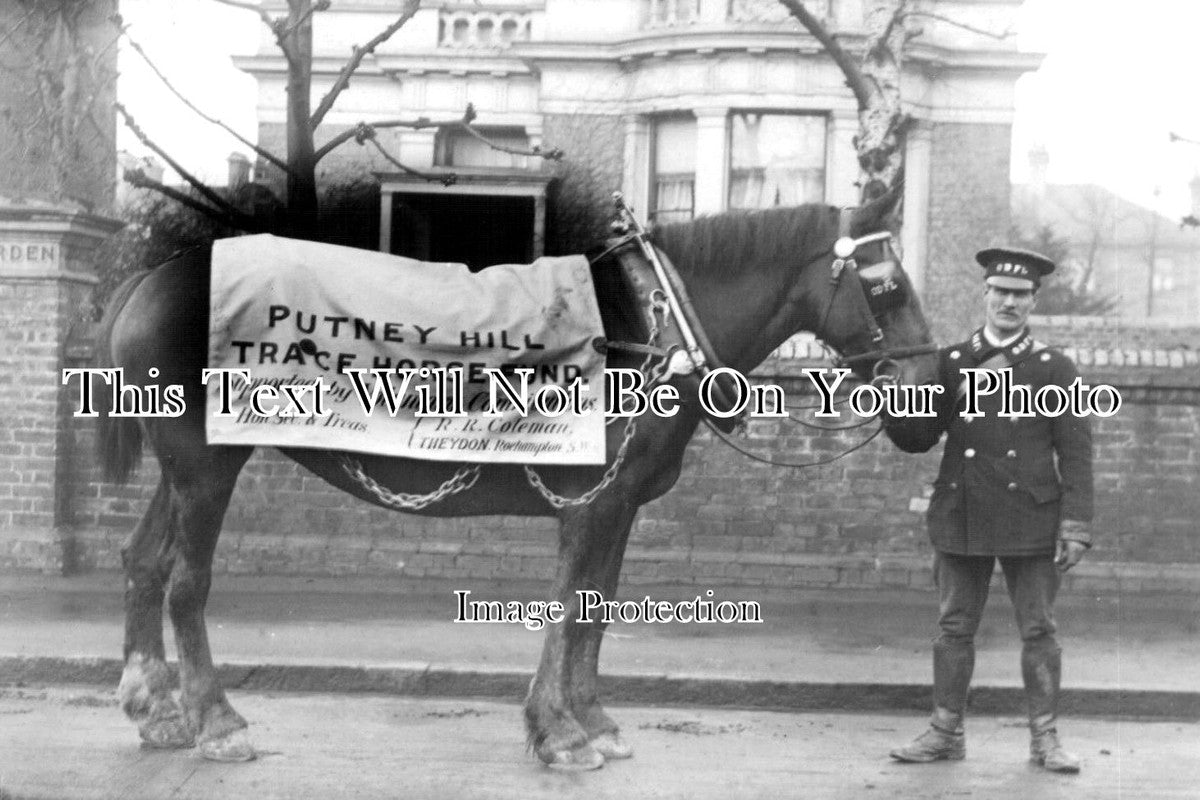 LO 2877 - Putney Hill Trace Horse Fundraiser, London