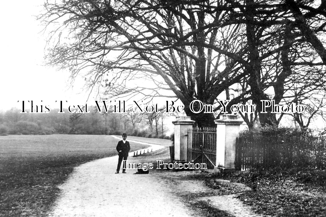 LO 3018 - Hadley Wood, Bridle Path, Enfield, London c1910