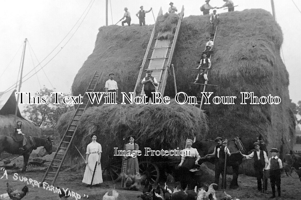 LO 3211 - Worcester Park Haystack, Surrey Farm Yard c1912