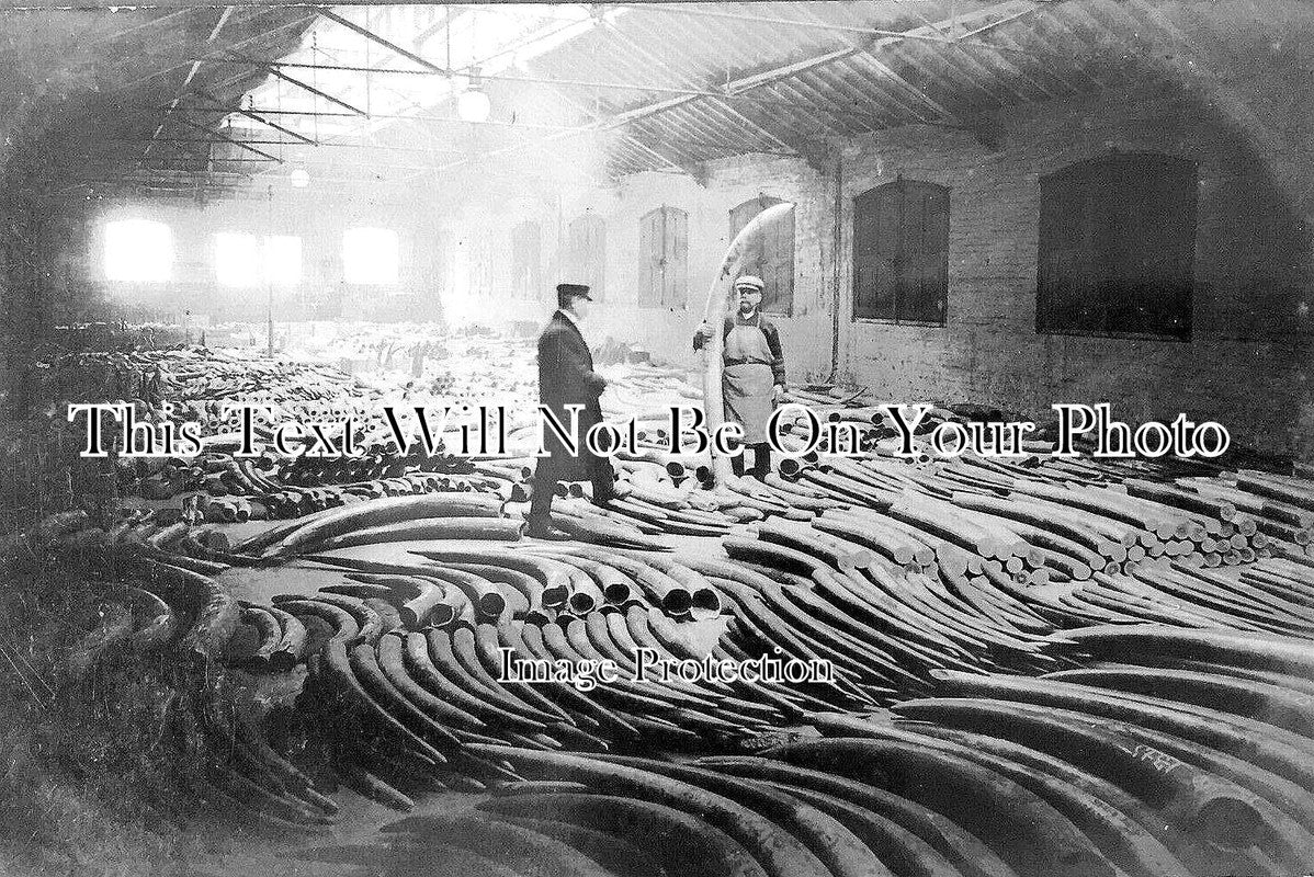 LO 3706 - Elephant Warehouse, St Katharines Dock, London