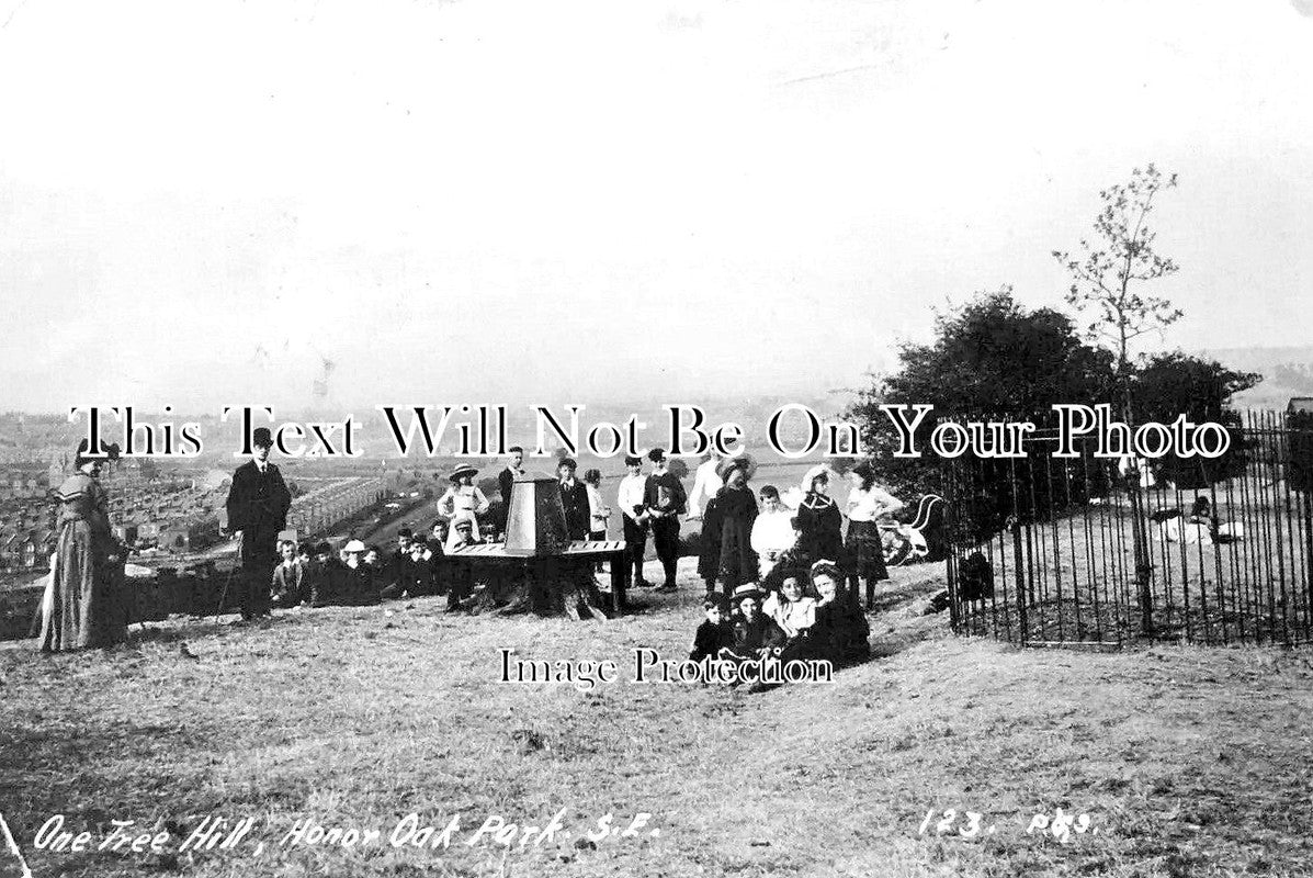 LO 3817 - One Tree Hill, Honor Oak Park, London c1911