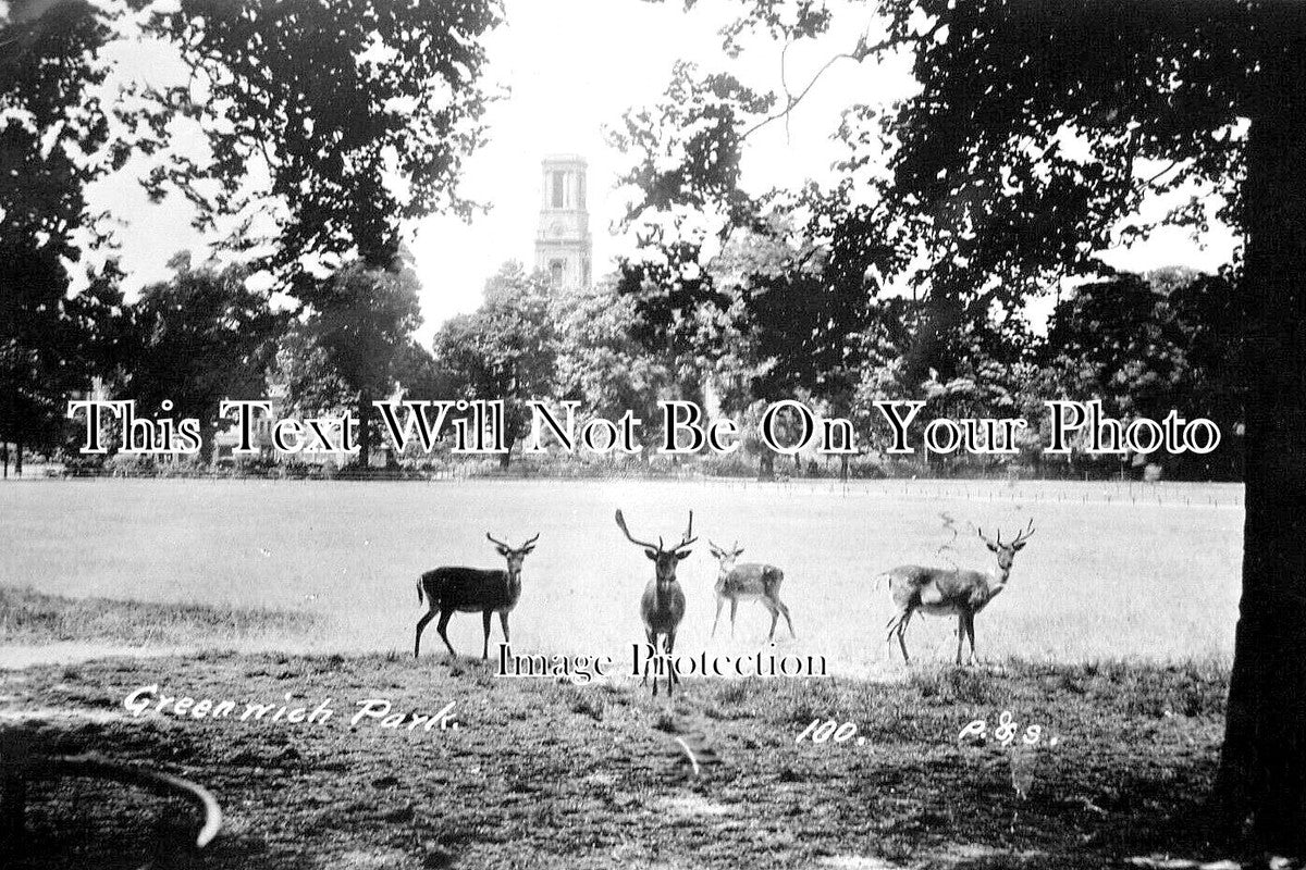 LO 5437 - Greenwich Park, London c1910