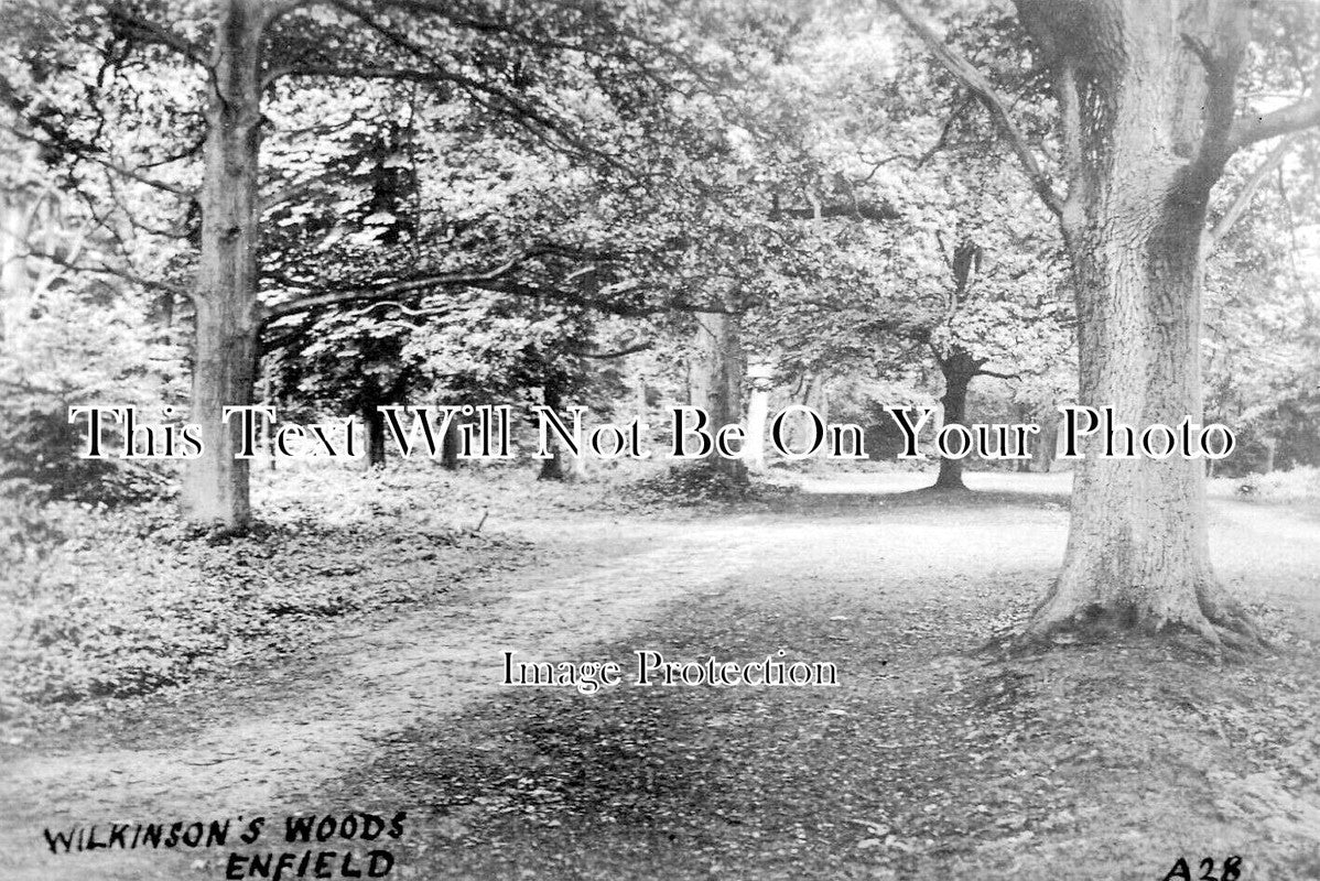 LO 5452 - Wilkinsons Woods, Enfield, London c1911
