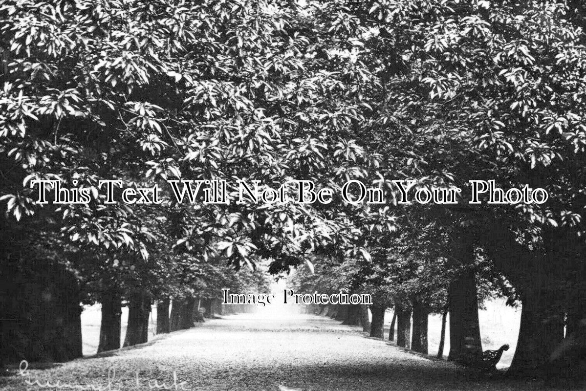 LO 5589 - Greenwich Park, London