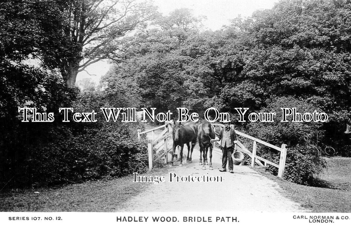 LO 5594 - Hadley Wood Bridle Path, London