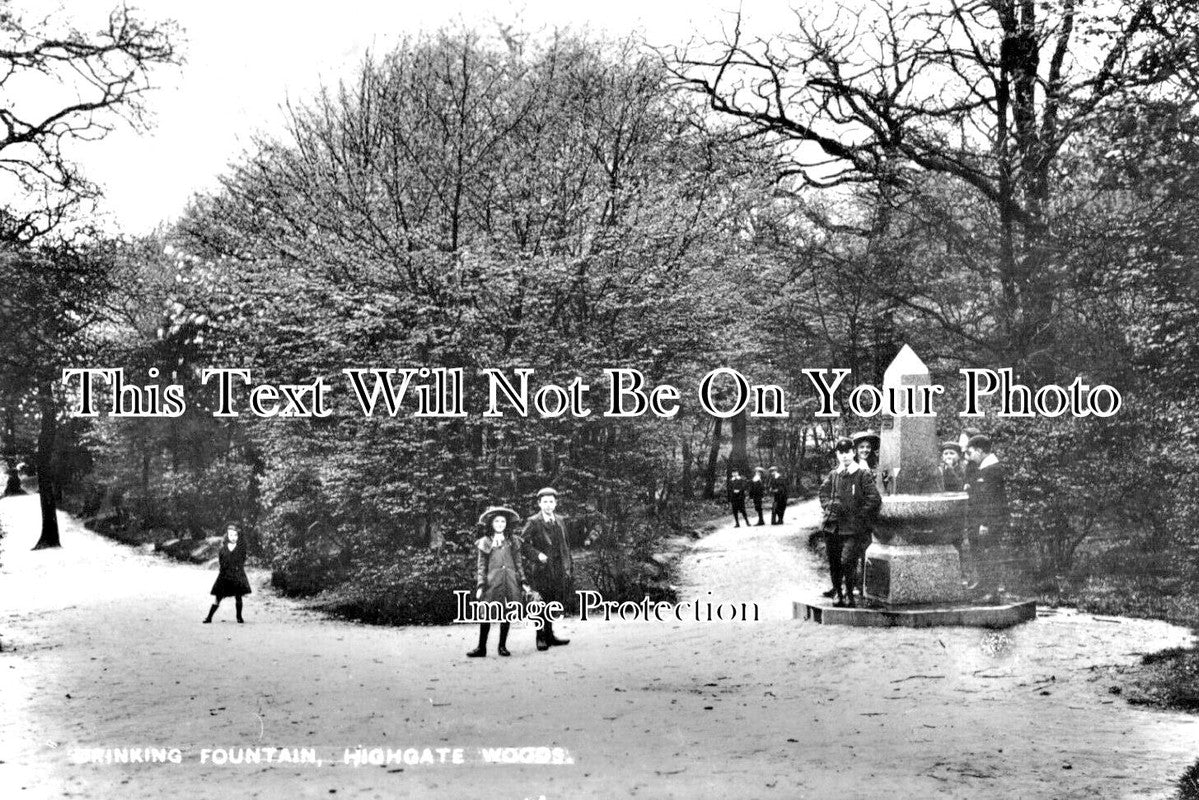 LO 5664 - Drinking Fountain, Highgate Woods, London