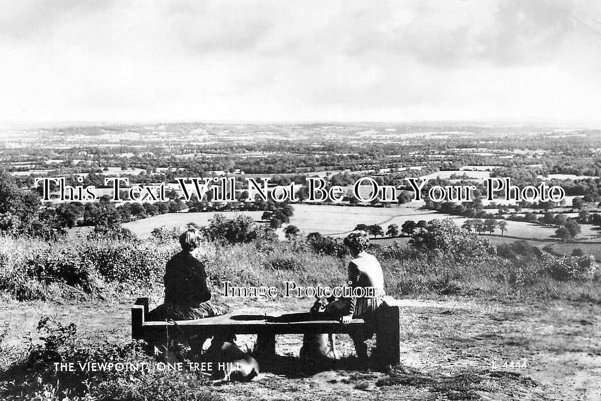 LO 6384 - The Viewpoint, One Tree Hill, London