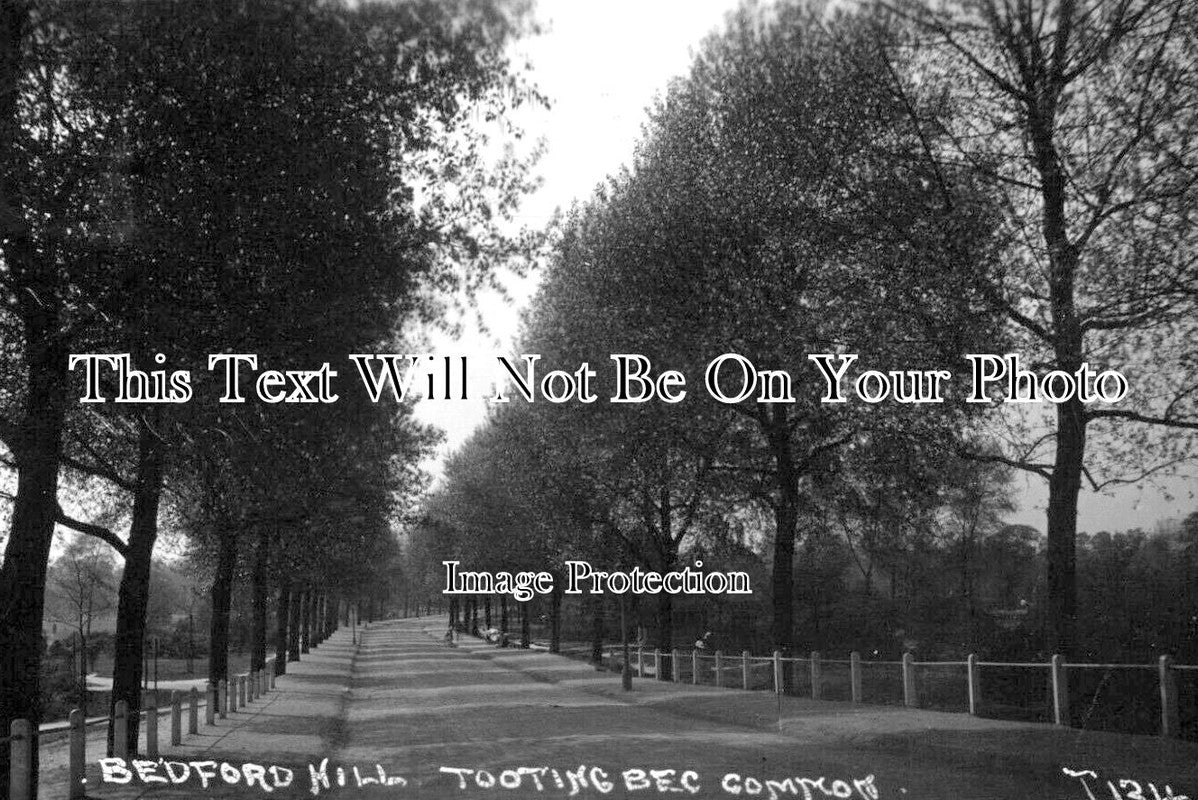 LO 6387 - Bedford Hill, Tooting Bec Common, London