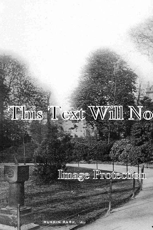 LO 767 - Ruskin Park, Denmark Hill, Camberwell, London c1916