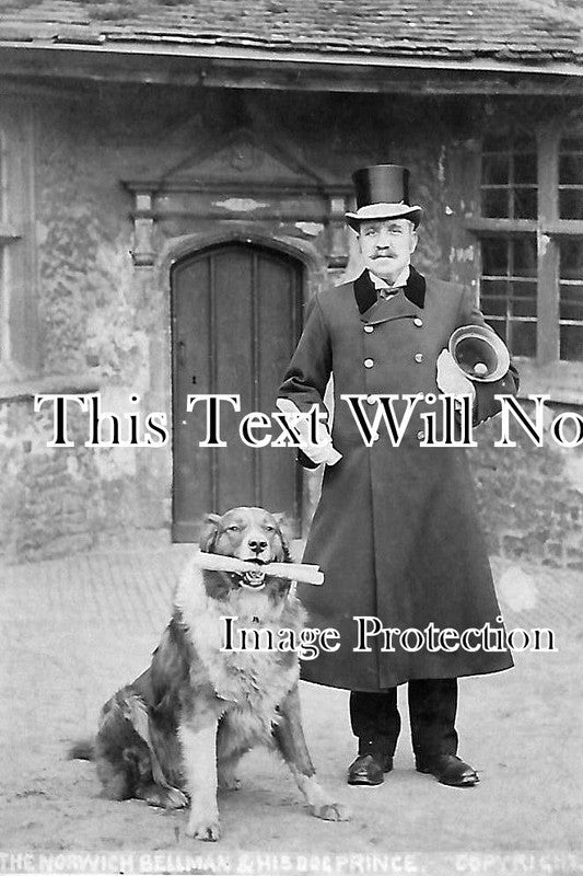 NF 1018 - Norwich Bellman & His Dog 'Prince', Norfolk c1909