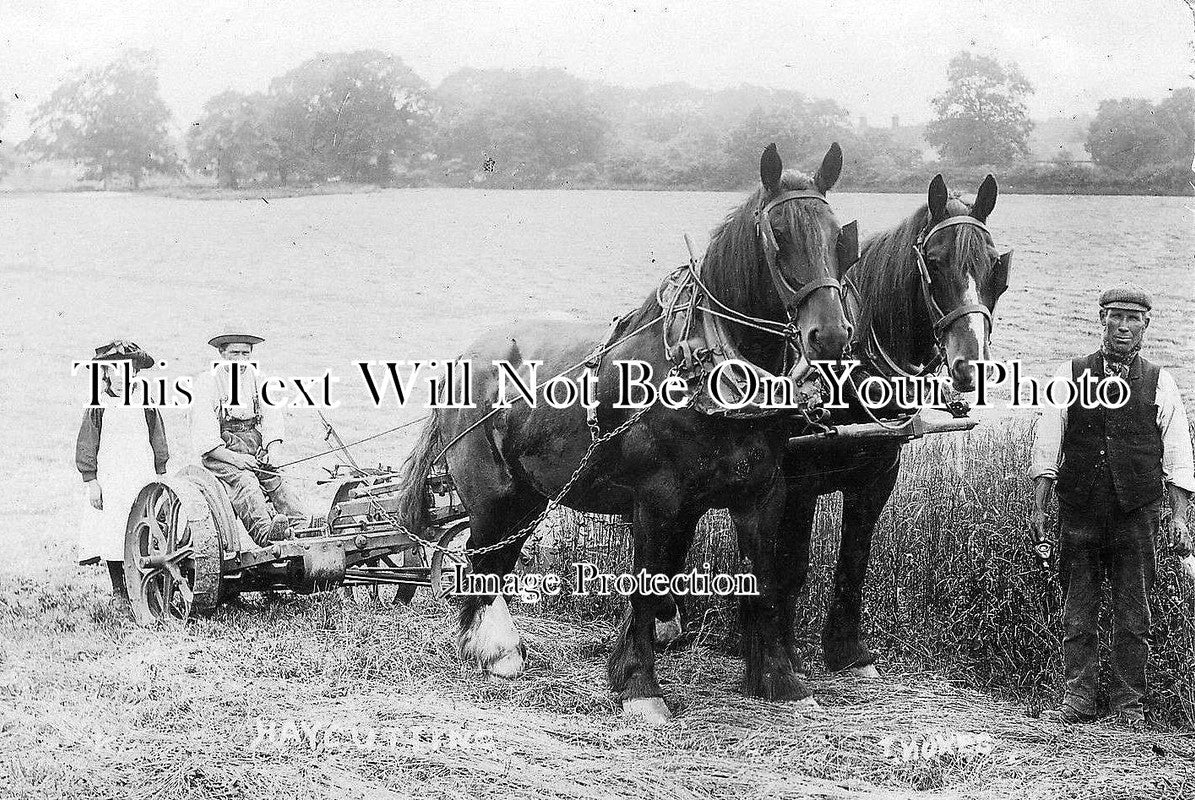NF 111 - Hay Cutting, Wymondham Area, Norfolk
