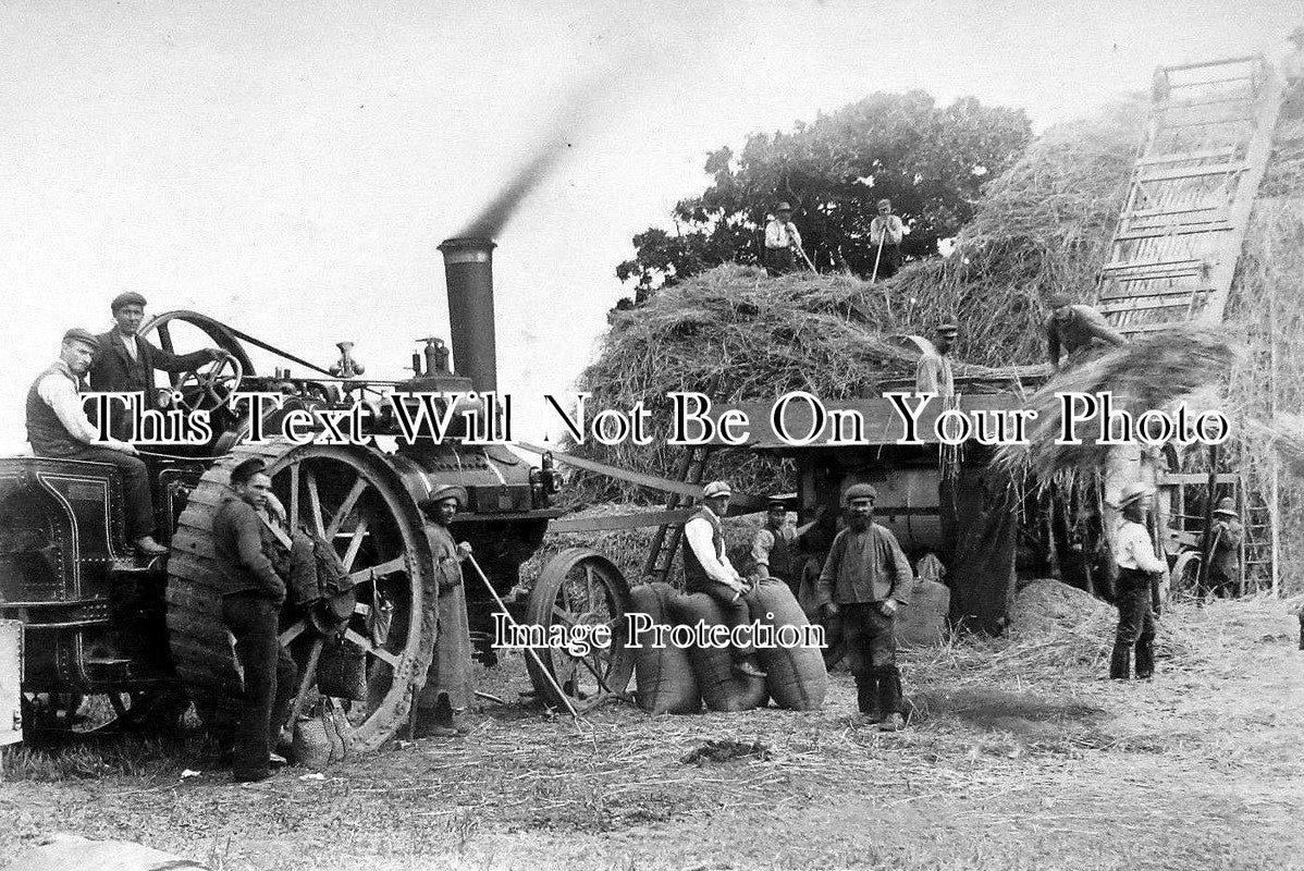 NF 140 - Traction Engine Threshing, Gooch East Rusto, Norfolk c1910